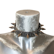 Spiked Stainless Steel Collar